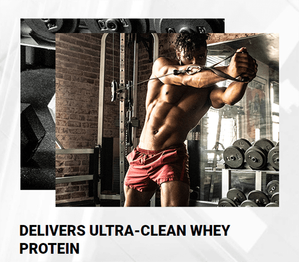 Muscletech Nitrotech 100% Whey Gold, Double Rich Chocolate, 8 Lbs 18