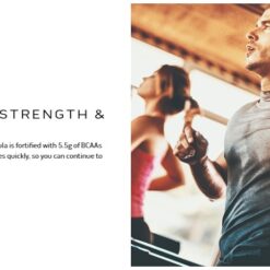 Muscletech Nitrotech 100% Whey Gold, Double Rich Chocolate, 8 Lbs 12