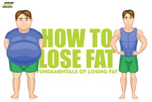 HOW TO LOSE FAT