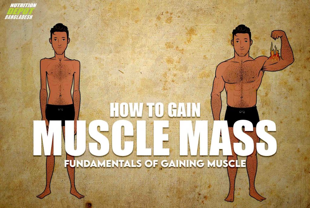 MUSCLE MASS