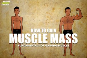 MUSCLE MASS