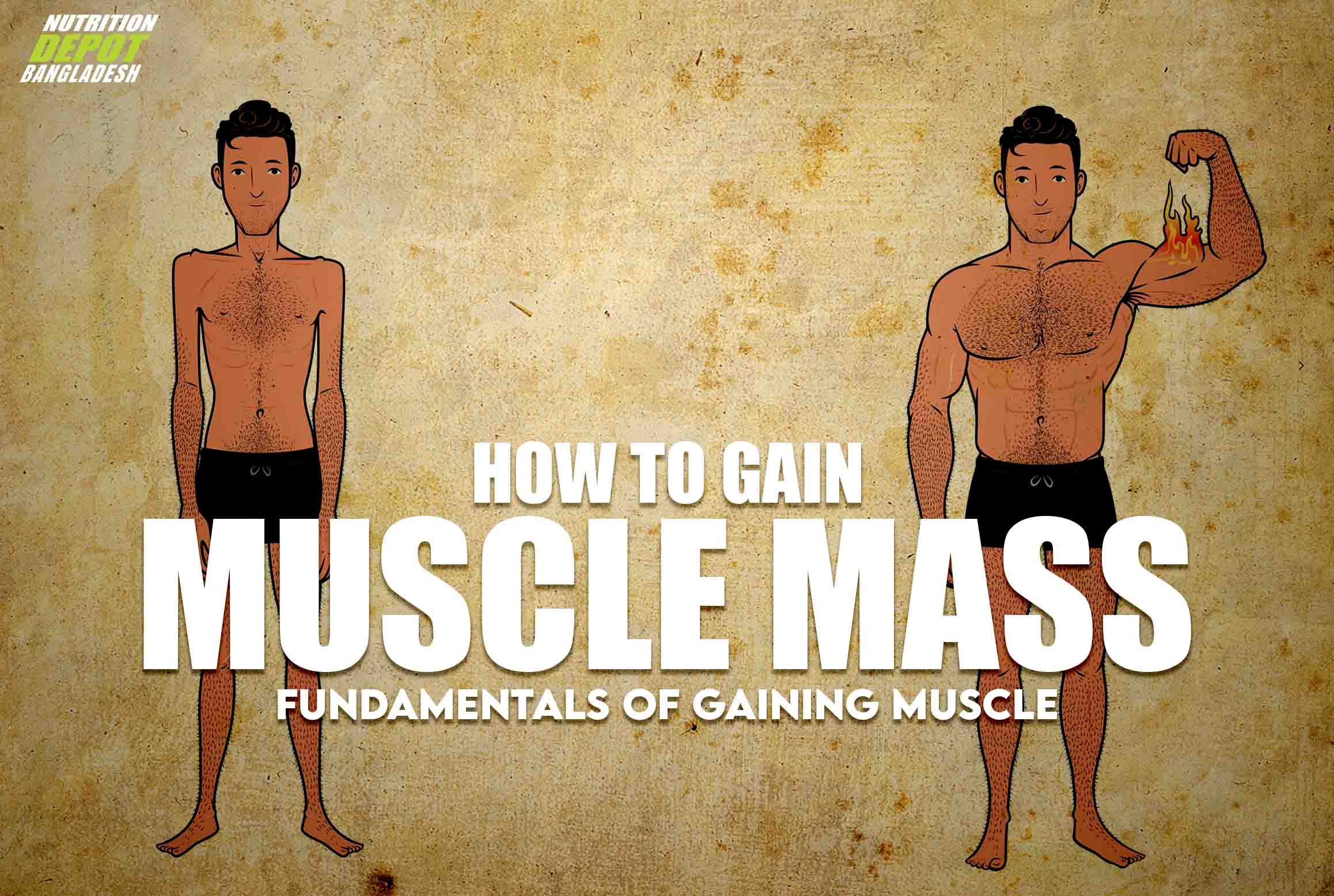 MUSCLE MASS